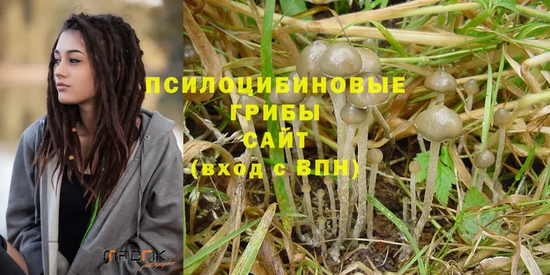 даркнет сайт  ссылка на мегу онион  Галлюциногенные грибы Psilocybine cubensis  Куровское 